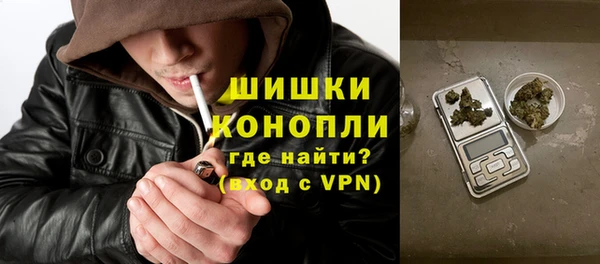 крисы Тайга