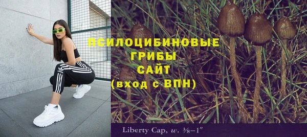 ГАЛЛЮЦИНОГЕННЫЕ ГРИБЫ Сясьстрой