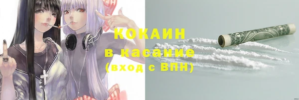 ГАЛЛЮЦИНОГЕННЫЕ ГРИБЫ Сясьстрой