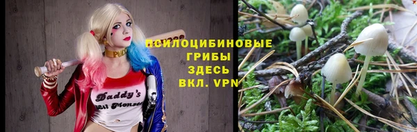 мяу мяу мука Тавда